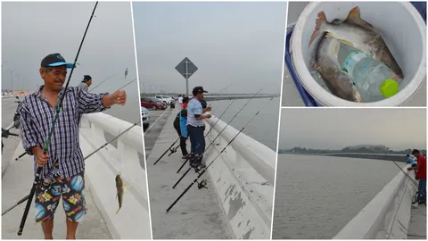 วิวดี๊ดี สะพานเลียบชายทะเลเมืองชล นักล่า แห่ตกปลาช่วงน้ำขึ้น