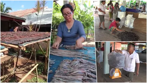 ยิ้มรับทรัพย์ช่วงน้ำท่วม แปรรูปไส้เดือนตากแห้ง ส่งขายคนจีน