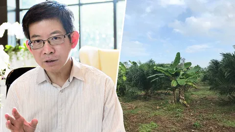 ครม.แก้กฎหมายขายฝากที่ดินเกษตร ล้างวงจรนายทุนยึดสวน-ไร่-นา