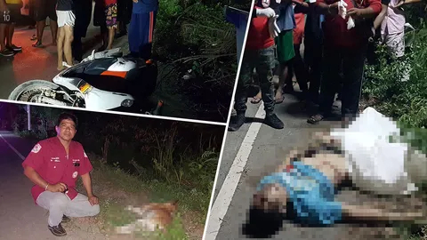 หนุ่มซิ่ง จยย.เจอหมาวิ่งตัดหน้า เบรกไม่ทัน พุ่งชนดับคาที่ทั้งคนทั้งหมา