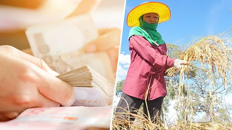 กู้เกิน 2.5 ล้าน แบงก์ไม่ยกหนี้เกษตรกร