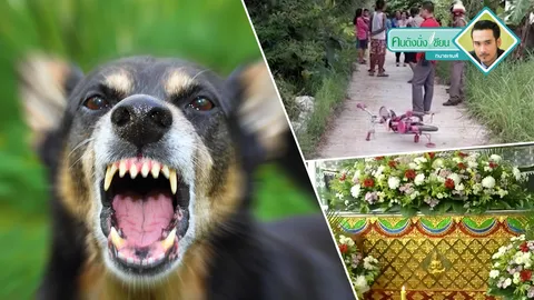 เลี้ยงสัตว์ดุร้าย อาจจะต้องเสียเงินแถมเสี่ยงคุก!!