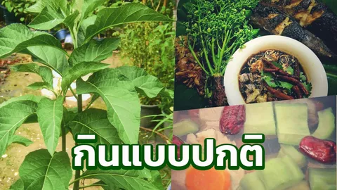 หนานเฉาเหว่ย ป่าช้าเหงา หลบไป กูรูแนะกินอาหารอย่างไรช่วยลดน้ำตาล