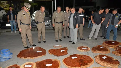 จับไม้เถื่อน