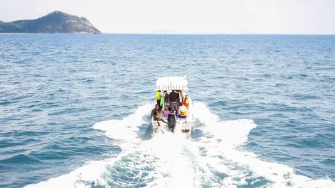 ประโยคที่เอา salt ไปประกอบ