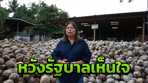 ชาวทับสะแกหวัง รบ.เห็นใจ แก้มะพร้าวเถื่อนจริงจัง ยุตินำเข้าจากนอก