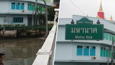นาม...มหานาค