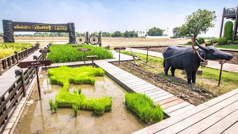 ดูดาว...เขื่อนกระเสียว เที่ยวทุ่งนา...เมืองสุพรรณ