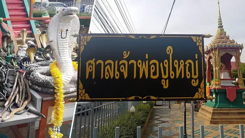 ศาลเจ้าพ่องูใหญ่ สระบุรี งูยางแก้บนหากสมหวัง