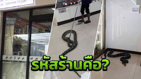 เปิดเลขรหัสร้าน 7-11 ศรีราชา หลังงูเหลือม 4 เมตร เข้าไปนอนขด