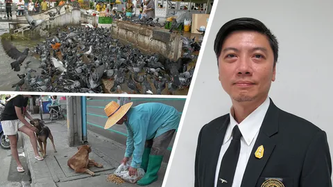 จับพิราบอย่าแอบปล่อย หมาแมวอย่า 2 มาตรฐาน