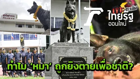 'วีรบุรุษเอ็กซ์' สุนัขตำรวจพลีชีพ ช่วย 5 เจ้านายรอด สู้โจรใต้แบ่งแยกดินแดน