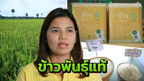กรมการข้าว ยันเครื่องหมายรับรองข้าวพันธุ์แท้ ได้รับการจดทะเบียนแล้ว