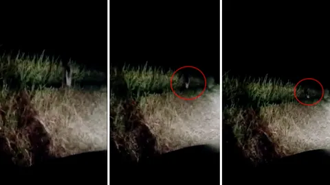 คืออะไรกันแน่? โซเชียลถกคลิปอ้างเจอ 'ผีกองกอย' กระโดดริมถนนกลางดึก