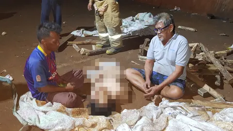 เศร้า! ป้าวัย 60 ก้าวพลาดตกกราบเรือสูงกว่า 5 เมตรหัวฟาดพื้นดับคาที่