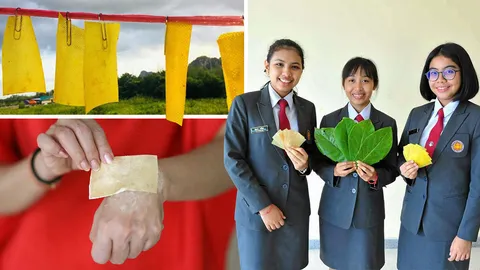 สบู่กระดาษใบหูกวาง นวัตกรรมวัยเจนวาย