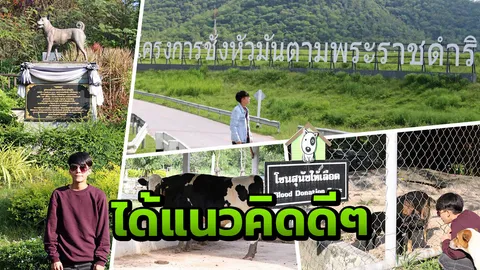 โครงการในพระราชดำริ ในหลวง ร.9 สร้างแรงบันดาลใจให้ กล้วย อาร์สยาม