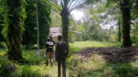 3 นักโทษหนีเรือนจำชุมพร เอาค้อนสะเดาะตรวน ก่อนหนีไปทางเขาห้วยคล้า