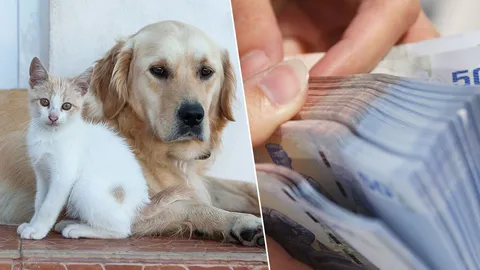 อานตะไท