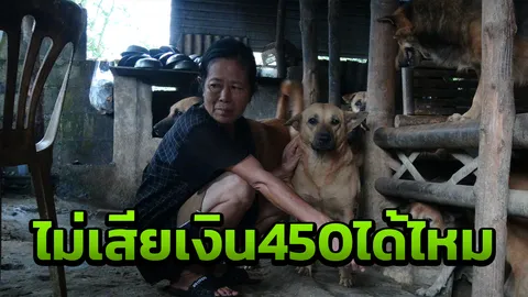 วอนรัฐอย่าแค่ทบทวน ให้ล้มเลิกจ่ายเงินขึ้นทะเบียนหมาแมวไปเลย