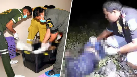 หนุ่มลูกครึ่ง-ฆ่าตัวตาย นอนให้รถไฟทับคอขาด หนีคดีแทงสาวยัดกล่อง