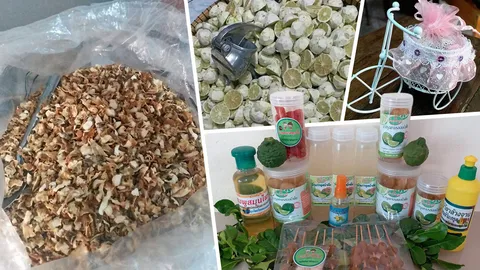 มะกรูด..บางซอ ทำเงินครบวงจร