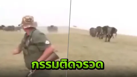 นักล่าสัตว์หนีกระเจิง โดนช้างทั้งโขลงวิ่งไล่ หลังยิงช้างตาย (คลิป)