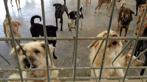 คิดให้ดี