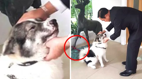 โซเชียลเสียงแตก หลัง ‘ลุงตู่’ โพสต์ภาพ ‘เจ้าหมี’ สุนัขตัวโปรดรอรับ