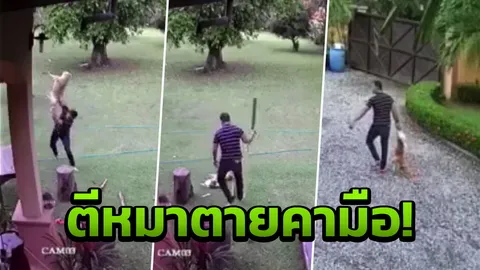 เลี้ยงมาก็ฆ่าได้! สาวแจ้งจับพ่อเลี้ยงทุบตีหมา จับฟาดตอไม้ตายคามือ (คลิป)