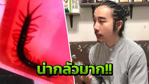 ตะขาบจู่โจมกัด อวัยวะเพศ 'อาจารย์' คาห้างดัง ขณะติวลูกศิษย์ในร้านกาแฟ