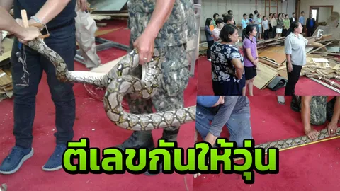 อยากร่วมประชุม!​ งูเหลือม บุกศาลากลางปทุมธานี ข้าราชการผวาจับกันวุ่น