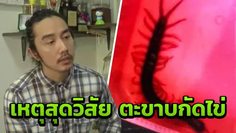 ห้างดังแจงเหตุสุดวิสัย! หลังตะขาบเจ้ากรรม มุดกัดอวัยวะเพศ 'อาจารย์'