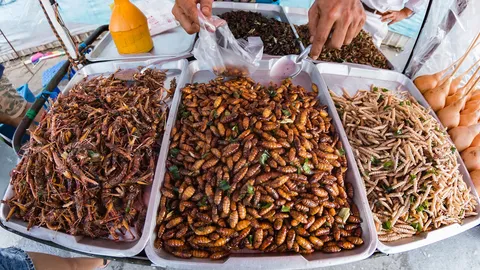 ปรอทในดักแด้ไหมทอด