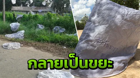 สุขคนปล่อย ทุกข์คนเก็บ! หนุ่มโพสต์เจอโคมลอยตกเกลื่อนที่มหาสารคาม