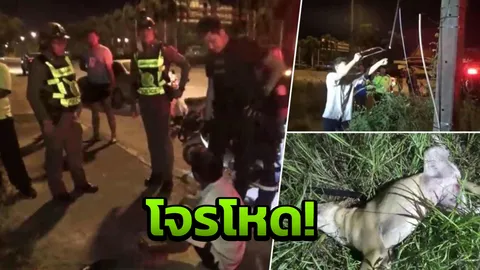 จับทันควัน โจรโหด ลักสายฮัลโหล TOT หมาเห่าเสียงดังทุบหัวดับ