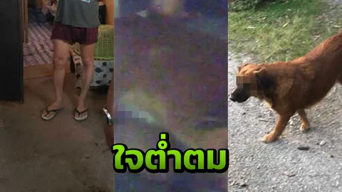 ยังมีอีกเยอะ! คนรักสัตว์สุดทานทน ร่วมแฉกลุ่ม 'โบโบ้' มีเซ็กซ์กับหมา