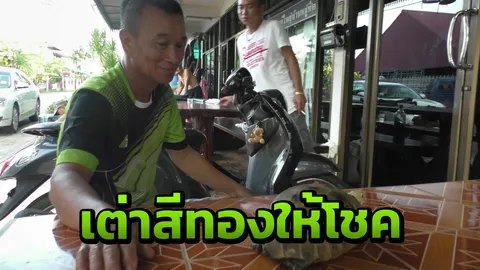 ลุงคนบึงกาฬฝันเห็นเต่าสีทอง เช้ามาเจอจริงๆ คอหวยตามมาทาแป้งหาเลขเด็ด