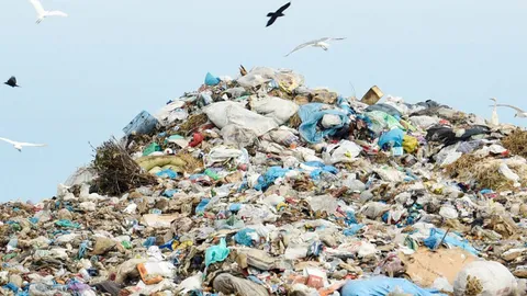 คาดได้ผู้ชนะประมูลในปี 61