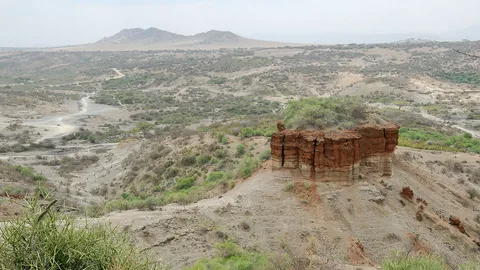 สัตว์ ไม่มีกระดูกสันหลัง 6 ชนิดใหม่ในแอฟริกา