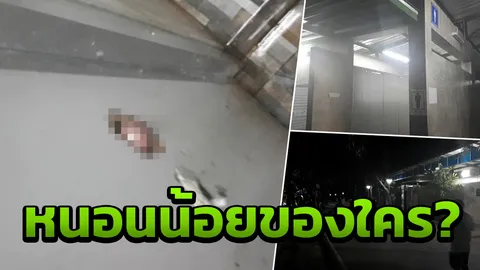 หนุ่มลำปางแทบช็อก นั่งส้วมอยู่ดีๆ มีจู๋มุดรูผนังห้องน้ำมาทักทาย