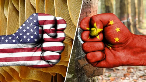 สงครามการค้าสหรัฐฯ-จีนป่วน ไทยโดนกระทบชิ่งออเดอร์ส่งออกยางลดฮวบ