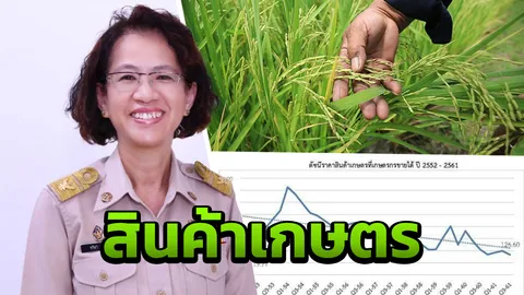 สศก.ส่องไทม์ไลน์ดัชนีราคาสินค้าเกษตรในรอบ 9 ปี หลังผ่านเอลนีโญ