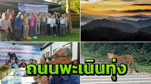 สรุป ทำถนนขึ้นพะเนินทุ่ง! เท่าที่จำเป็น ไม่กระทบสัตว์ป่า 