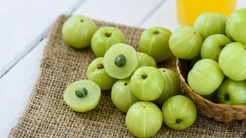 “มะขามป้อมแป้นสยาม” ผลใหญ่ต้นเตี้ยและดก