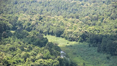 กรมป่าไม้ จัด “ปันรัก รักษ์ผืนป่า ให้ผืนดิน” ปลูกป่า