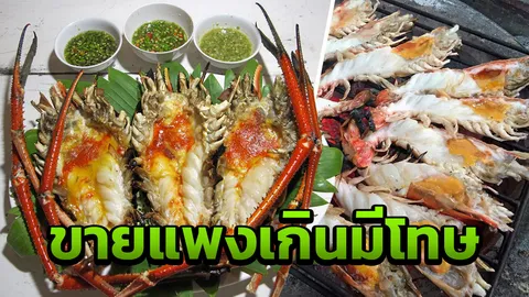 ขนาดกุ้งเผาสมราคาไหม? เปิดกฎหมายขายแพงเกิน โทษคุก 7 ปี ปรับ 1.4 แสน