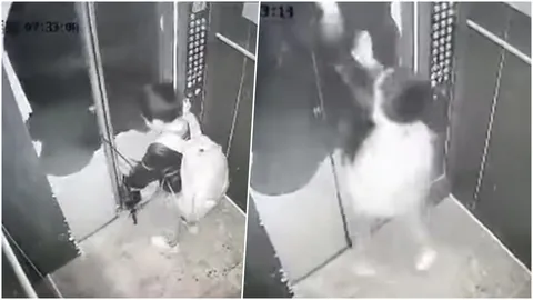 ระทึก นาทีเด็กชาย เล่นเปิด-ปิดลิฟต์ ใช้ก้านร่มแหย่ประตู เจอโดนกระชาก (คลิป)