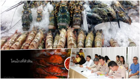 กู้ภาพหัวหิน ส่งจนท.แฝงตัวสั่งกุ้ง-ยัน "ถูก อร่อย ดี" มีหลายร้าน  