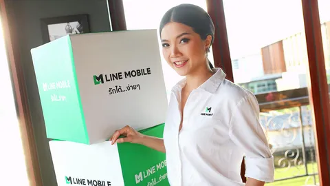 โสมชบาจ๊ะจ๋า 22/11/61